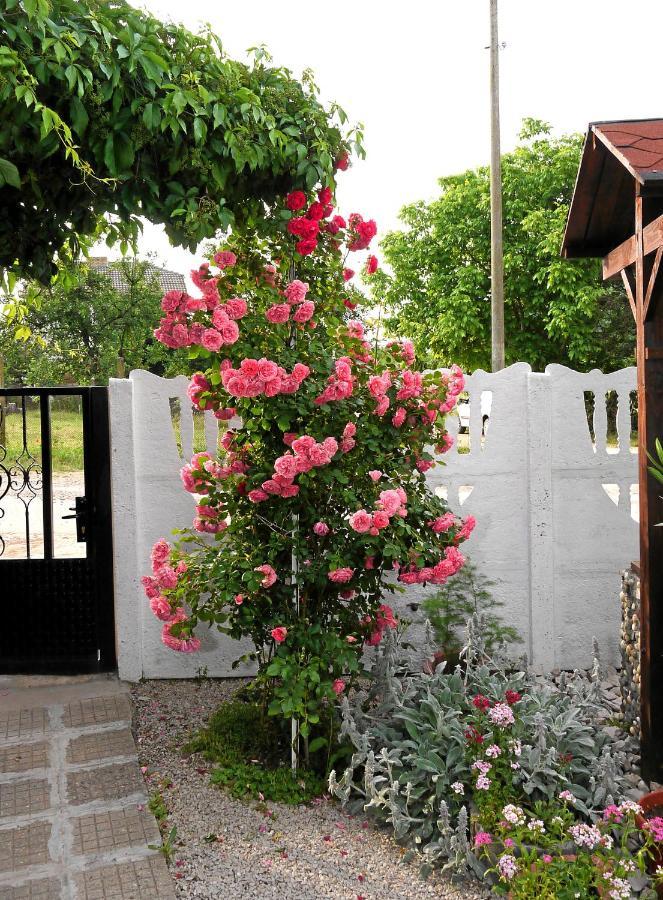 Guest House Medina Belogradchik Exterior photo