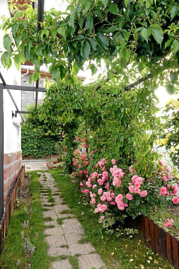 Guest House Medina Belogradchik Exterior photo