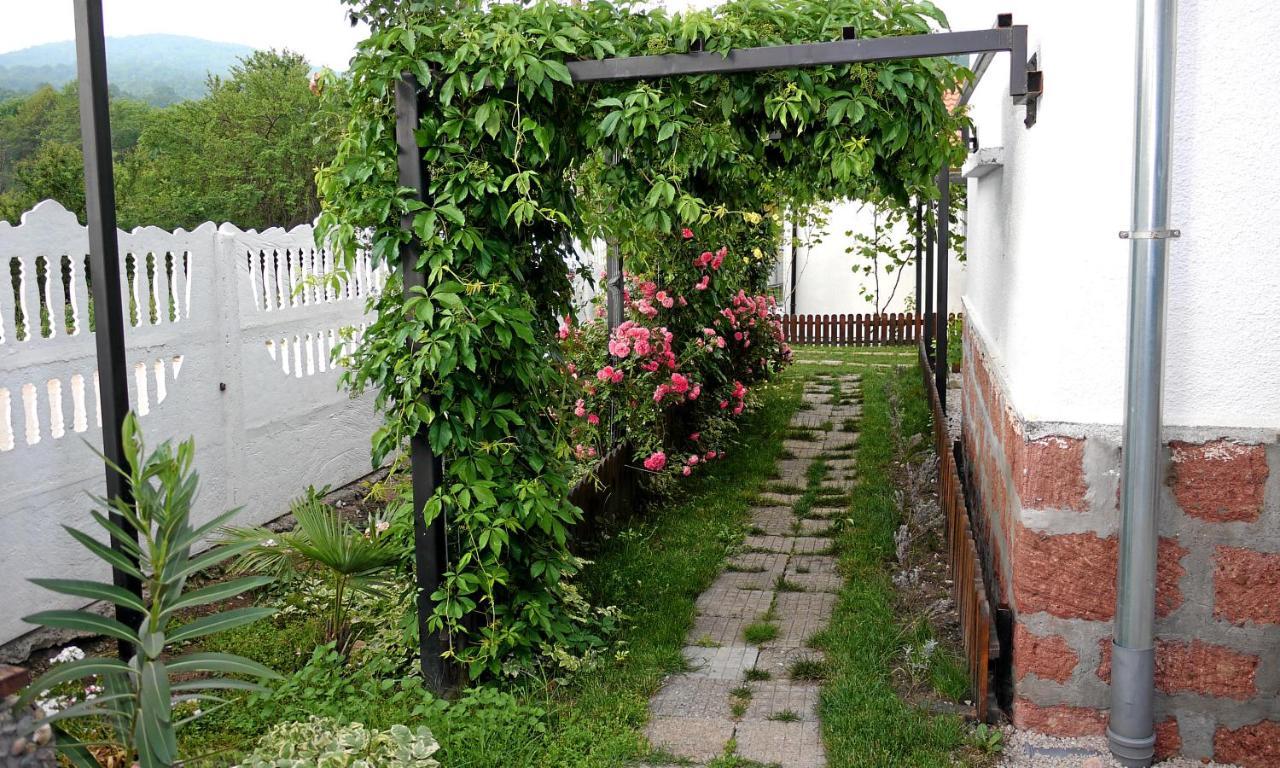 Guest House Medina Belogradchik Exterior photo